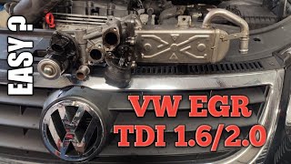 VW EGR 16  20 TDI [upl. by Ennahteb605]