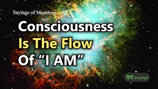 Understanding Consciousness  What is Presence  Shree Guru Maashree [upl. by Thorwald]