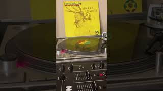 Bunny Wailer  Boderation oldschoolreggae rootsreggae vinyl reality [upl. by Boucher884]