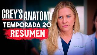 GREYS ANATOMY Temporada 20 RESUMEN EN 1 VIDEO [upl. by Sally757]