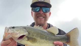 Catching Bass on Topwater [upl. by Noman]