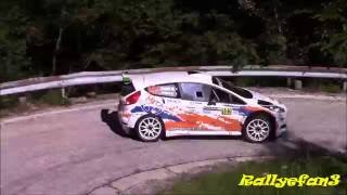 Rally Piancavallo 2016 Action [upl. by Ennaj]