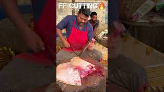 KASIMEDU 🔥 SPEED SELVAM BROWN RAY FISH CUTTING VIDEO kasimeduselvam fishcutting youtubeshorts [upl. by Einnod]