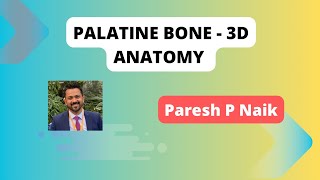 Palatine Bone Anatomy of the Nasal Cavity  3D anatomy [upl. by Eniluj905]