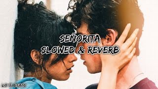 señorita  shawn mendes amp camila cabello slowed and reverb [upl. by Kinzer838]