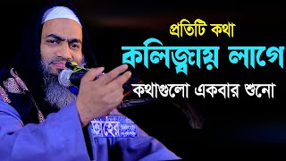 প্রতিটি কথা কলিজ্বায় লাগে  আল্লামা মুফতী মুস্তাকুন্নবী কাসেমী  Mustakunnabi Kasemi  bangla waz [upl. by Kelly]