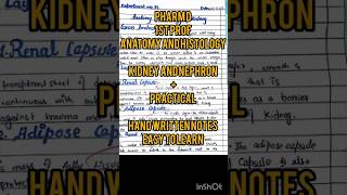 Kidney and nephron anatomy and histology shortsvideo pharm exam [upl. by Noak941]