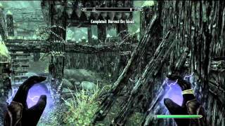 Skyrim Discerning The Transmundane Harvest Blood Walkthrough [upl. by Darrelle]