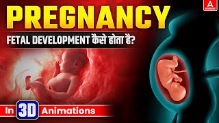 Fetal Development Kaise Hota Hai  Pregnancy Journey Explained  3D Animation [upl. by Imailiv273]