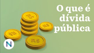 O que é a dívida pública [upl. by Wake]