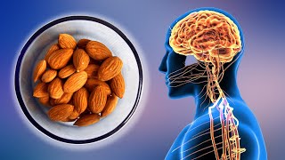 Almonds Benefits Top 10 Health Benefits of Almonds That Will Surprise You [upl. by Rather]