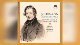 Review Robert Schumann Die innere Stimme Robert Schumann The Inner Voice  by Jörg Handstein [upl. by Aserej532]