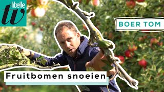 Boer Tom vertelt hoe en wanneer je het beste je fruitbomen kunt snoeien [upl. by Modnarb]