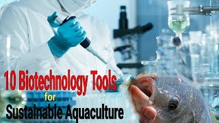 Top 10 Biotechnology Tools for Sustainable Aquaculture [upl. by Maccarthy574]