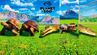 Giant Tortoise vs Aldabra Giant Tortoise vs Gharial vs Cuvier Dwarf and Caiman  Planet Zoo [upl. by Cahn]