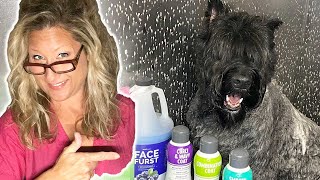 HOW DOG GROOMERS get your DOG so CLEAN Secret to CLEANING your PET [upl. by Flosi194]