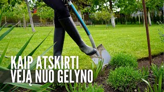 Kaip atskirti veją nuo gėlyno – be plastiko [upl. by Rakel]