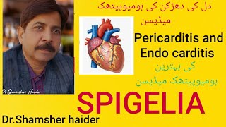 BENIFITS OF SPIGELIA Heomepathy medicine۔heart problem۔ [upl. by Arita]