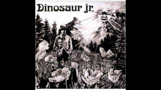 Dinosaur Jr  Forget the Swan [upl. by Shepherd491]