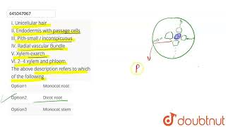 I Unicellular hairII Endodermis with passage cells III Pithsmall  inconspicuousIV Radial v [upl. by Rust198]