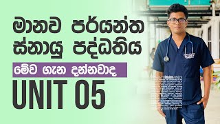 මානව පර්යන්ත ස්නායු පද්ධතිය  Peripheral nervous system  snayu paddathiya Unit 05  AL Bio [upl. by Brasca798]