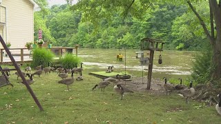 Tippecanoe River floods neighborhood [upl. by Glynis]