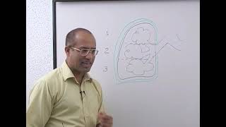 Ventilation Perfusion Ratio part 1 [upl. by Scammon]