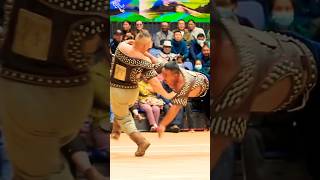 Inner Mongolian Wrestling Highlights [upl. by Proudman]