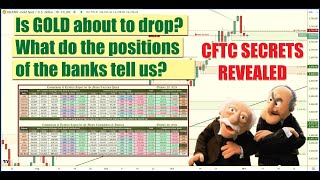 Weekly Commitment of Traders CFTC CoT Breakdown Analyzing Gold USD Strength amp Key Forex Data 📉🔍 [upl. by Lubow]