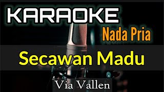 KARAOKE  SECAWAN MADU  NADA PRIA [upl. by Topper]