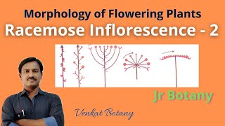 Racemose Inflorescence  2  Morphology of Flowering Plants  Jr Botany [upl. by Auqinot283]