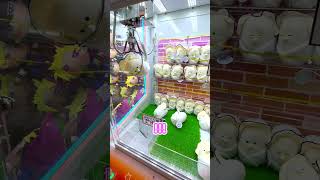 おくるみベビーなまがきが可愛過ぎる クレーンゲーム つぶらな瞳 確率機 ゲーセン clawmachine [upl. by Reivaz]