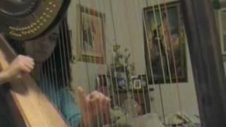 Harp cover Davy Jones  Pirates of the Caribbean [upl. by Lednem]