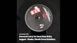 General Levy Vs Zeus feat Bally Jagpal  Shake What Ya Mama Gave Ya Brain Food Riddim [upl. by Ahsinit]