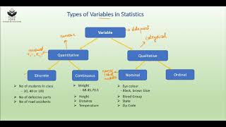 Types of Variables in Statistics [upl. by Ziul]