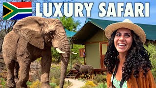 South Africas LUXURY Glamping Safari 🇿🇦 How Good Is It [upl. by Anialam]