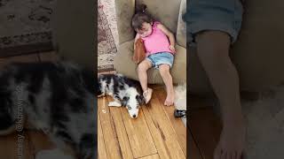 Pet pig and dog join napping toddler for a cozy cuddle  Humankind shorts goodnews [upl. by Eluk]