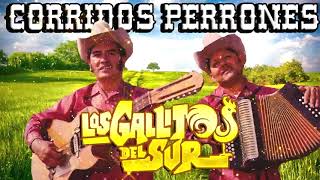 Los Gallitos Del Sur 30 Corridos Verdaderos  Musica Ranchera Mexicana [upl. by Letti]