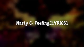 NASTY CFEELINGLYRICS [upl. by Illyes]