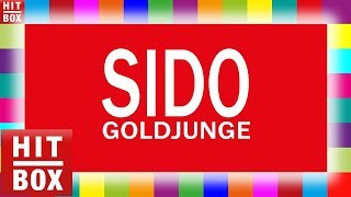 SIDO  Goldjunge HITBOX LYRICS KARAOKE [upl. by Cirone670]