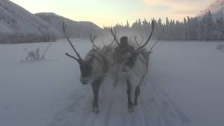 Reindeer Sleigh Ride in Oymyakon Yakutia Siberia Russia Winter Travel [upl. by Neirda]