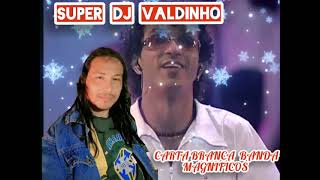 BANDA MAGNIFICOS CARTA BRANCA SUPER DJ VALDINHOIZISS [upl. by Wohlen]