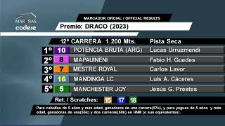 CARRERAS HIPODROMO MARONAS  1732024 VIVO [upl. by Gilmore]