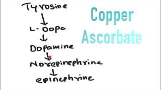 Tyrosine to Dopa Norepinephrine Epinephrine and Melanin [upl. by Nidnerb]