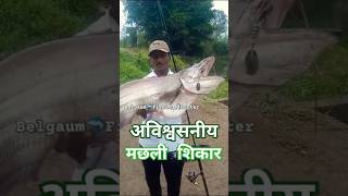 Ubelieveable Record Size Fish Hunting  Giant Indian Catfish  Unseen River Monster shorts video [upl. by Ham]