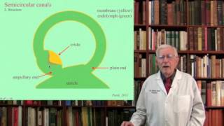 Lecture 3 The Vestibular System Structure Function and Dysfunction [upl. by Georglana595]