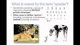 Species and Speciation IB Biology [upl. by Aer104]