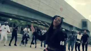 Paigey Cakey  Do It For The Vine Official Video [upl. by Notsek]