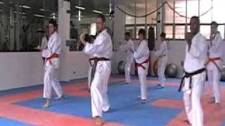 Academia Gavioes Aula Especial Karate Shotokan  02  Kihon Avanço [upl. by Anahsak]