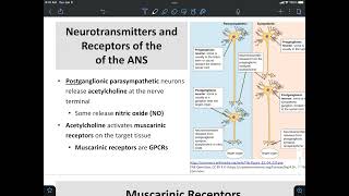 Nicotinic and Muscarinic Receptors [upl. by Rawna484]